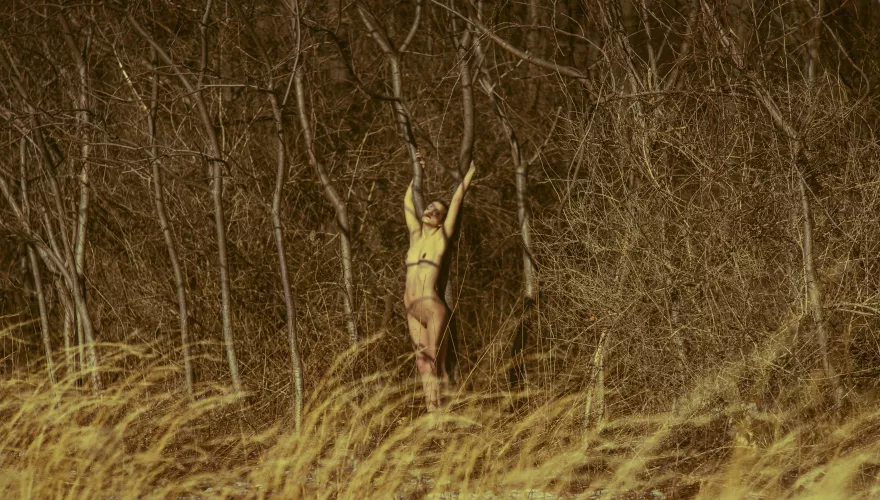 Secrets of the Sumac by HeLurks