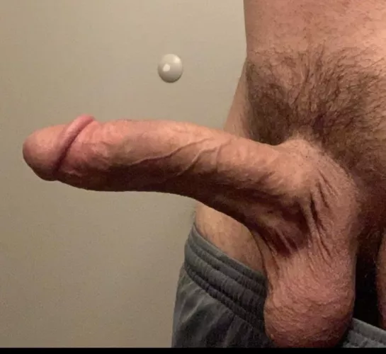 Seems right to be here??? 🙃 by Think-Marsupial-500