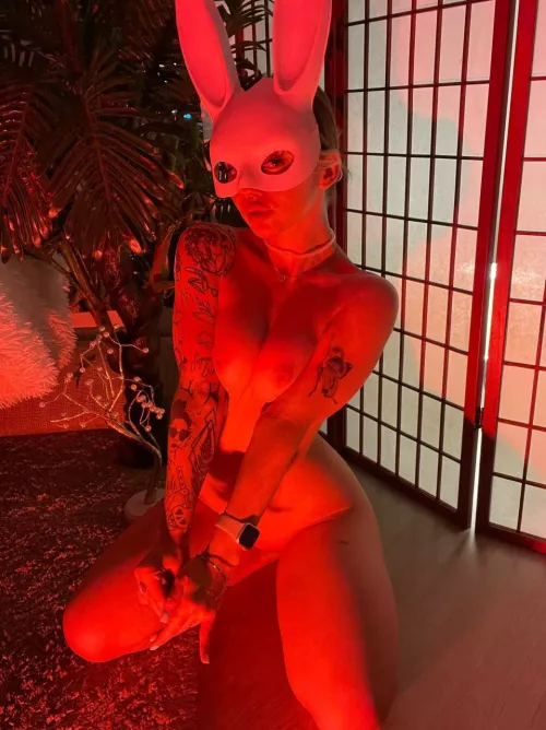 This rabbit needs a very thick carrot by rhinalwessex96