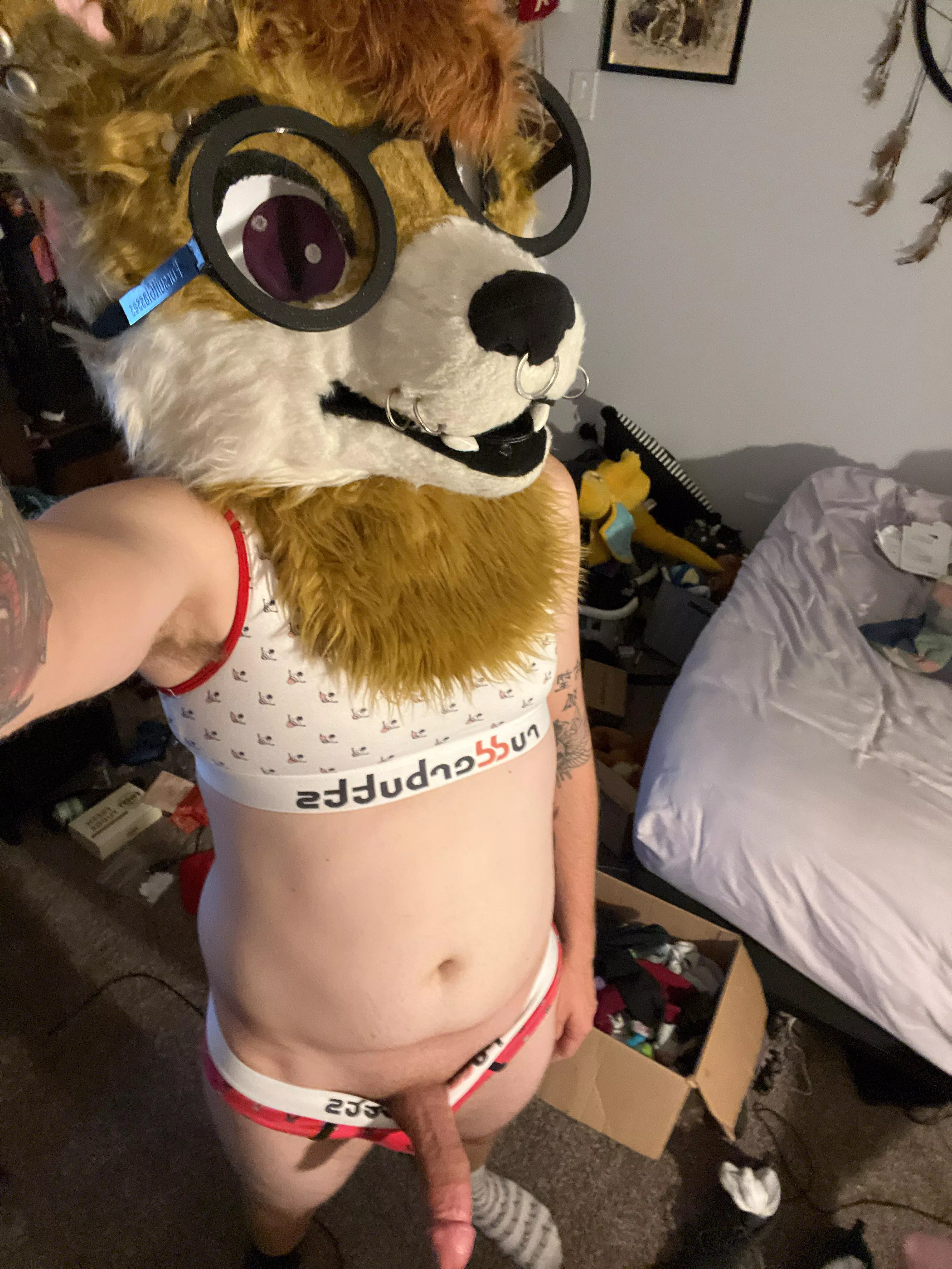 U-uh, h-hi, you told me to send you a picture, so here…~ posted by Khrystan_AD