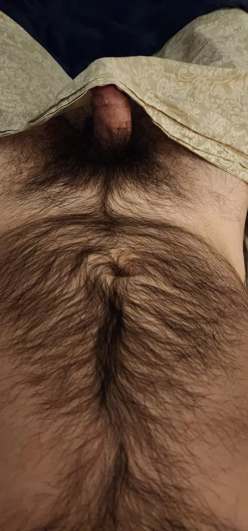 Wood morning! 🌳 lazy Saturday by Luigi_TX