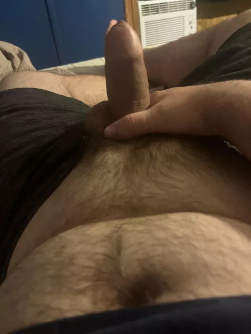 Anyone want to send dick so I can cum? Would be appreciated 😉 by wowza432