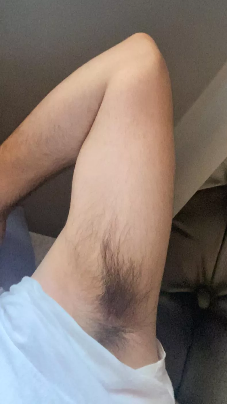 Bushy pits posted by Comfortable-Pea-1930