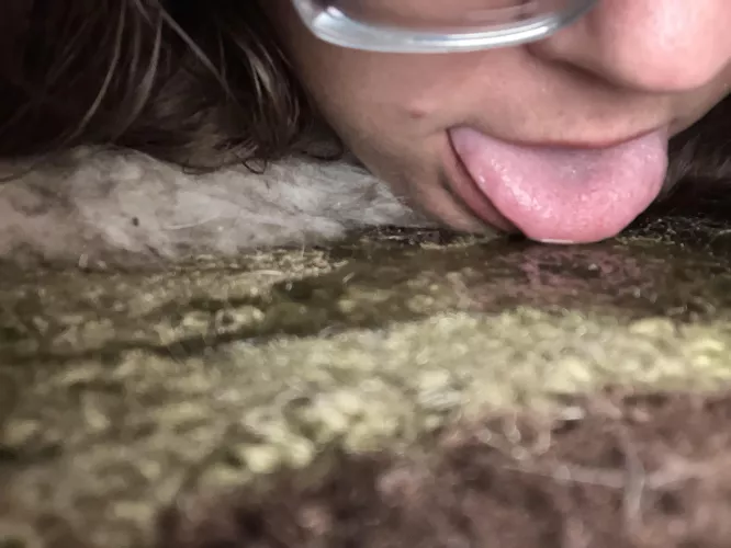 Cleaning up my mess by Green-Economist8607