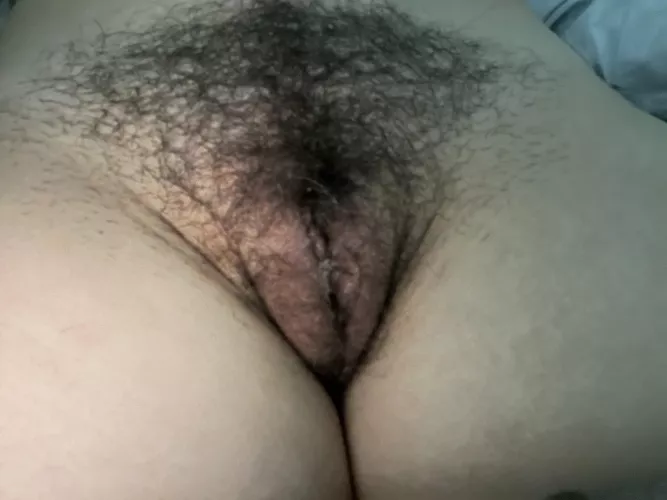 Do you like hairy fat pussy by ms_stoney