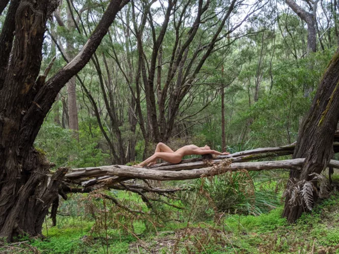 Embrace the fresh forest feel by honeylullah