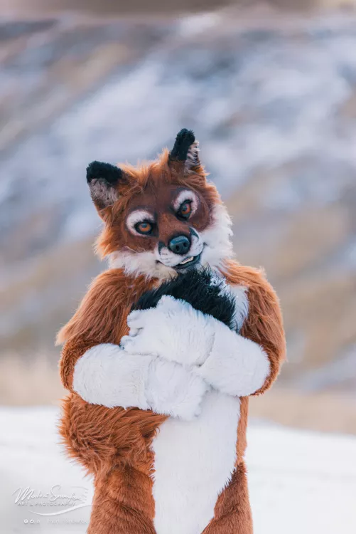 Fox just being a fox by Previous-Attempt-415