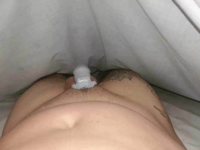 Just a morning check.....and reality reminded by lilukee