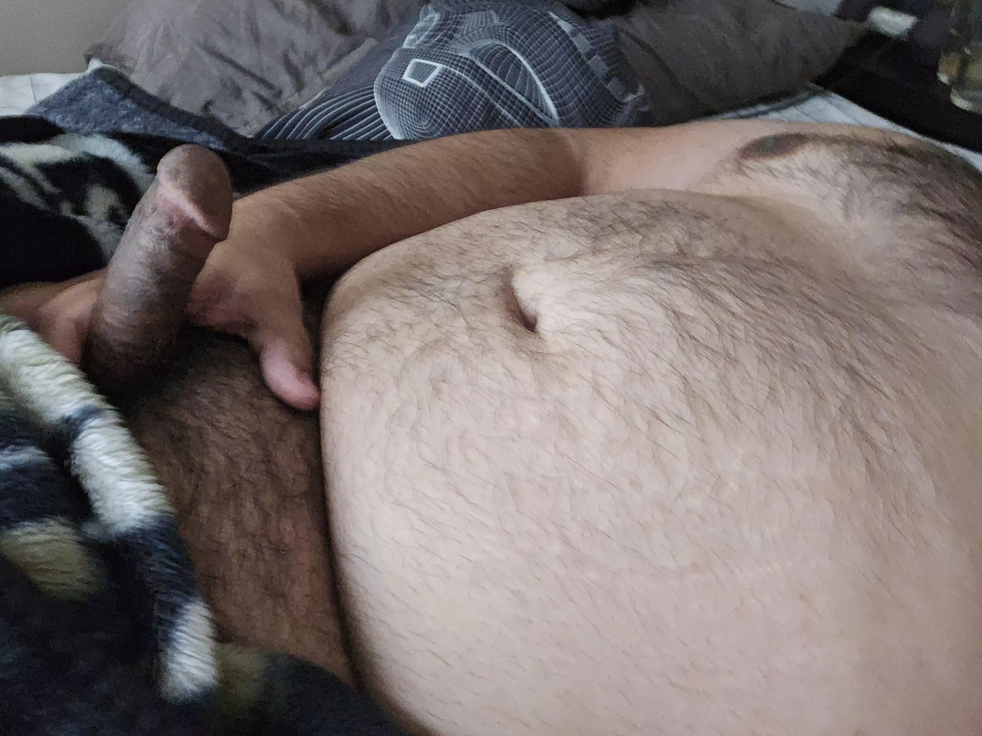 Morning Wood posted by True_Comparison42