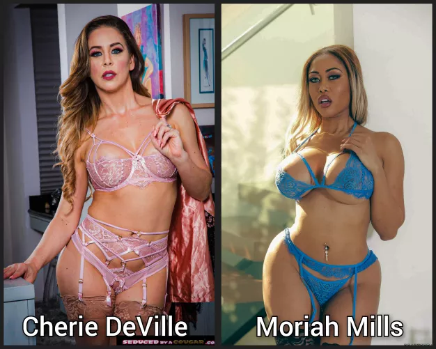 pick one - Lingerie milf battle - [Cherie DeVille] [Moriah Mills] by abo_oba73