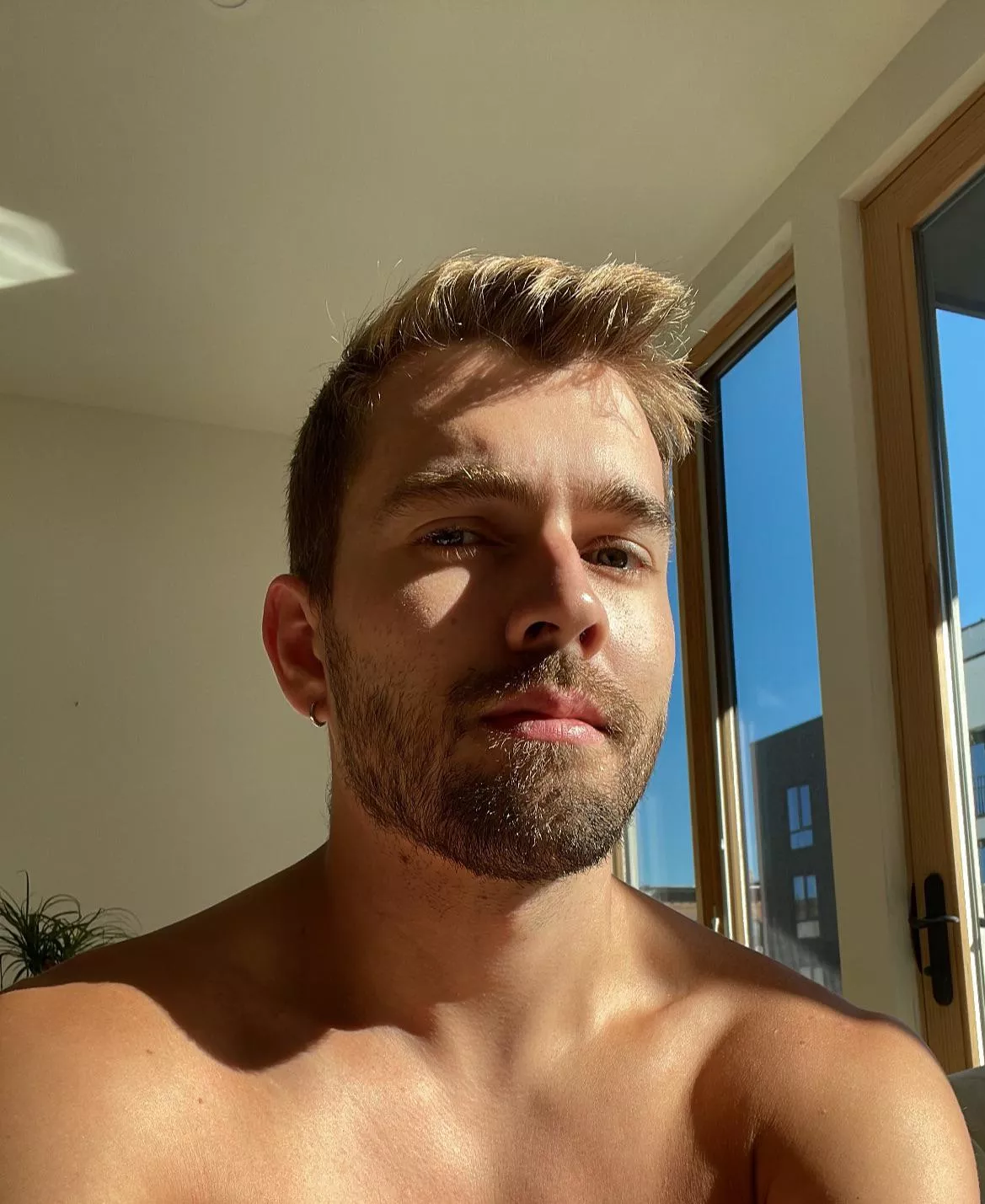 Pre-coffee, morning light, ponytail palm lurking in the background 🌞 posted by Stereodisco