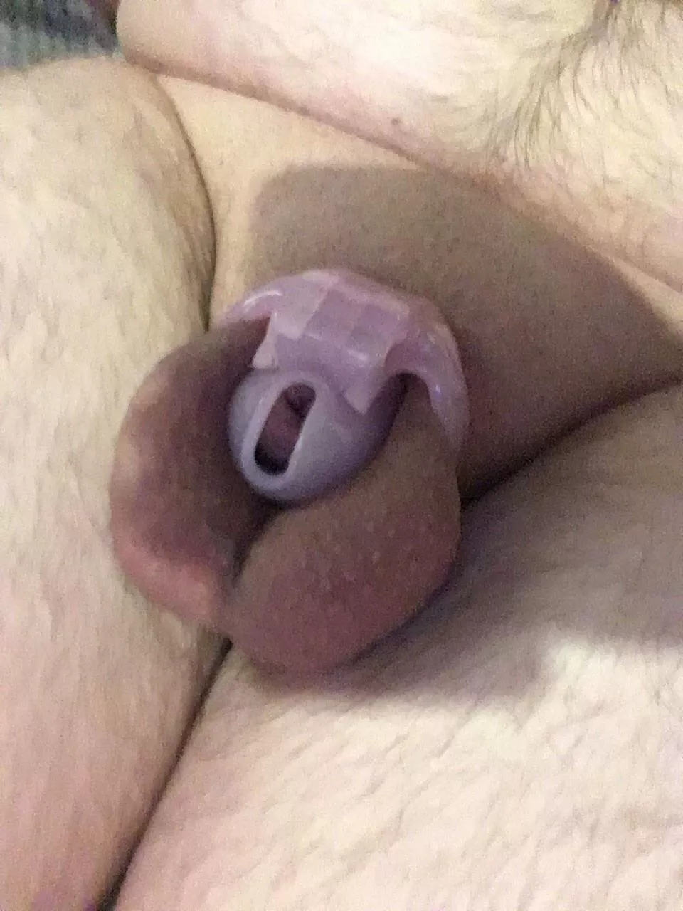 Should I get rid of my chastity keys posted by DismalDragonfruit366