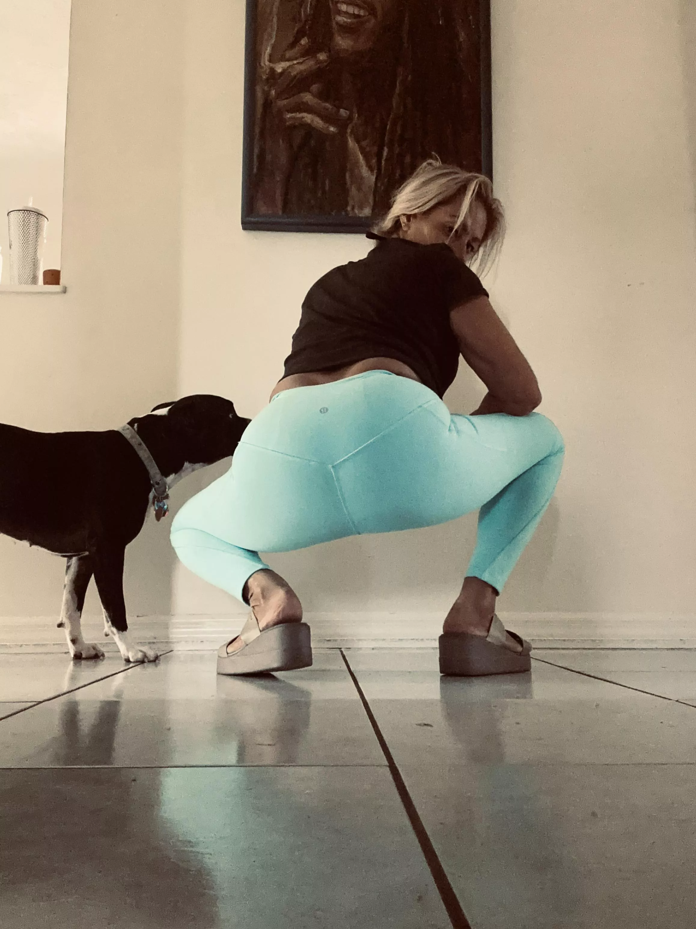 Come here boy!!! 🐶 posted by gradeaaa1