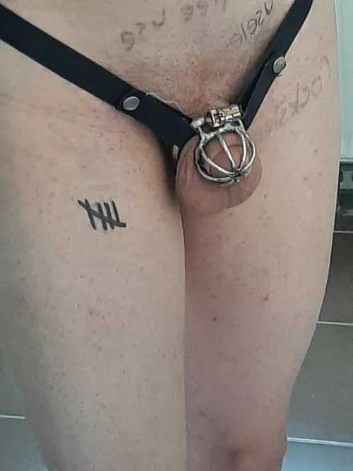 Day 5, almost a week by Rapekinksissyslave