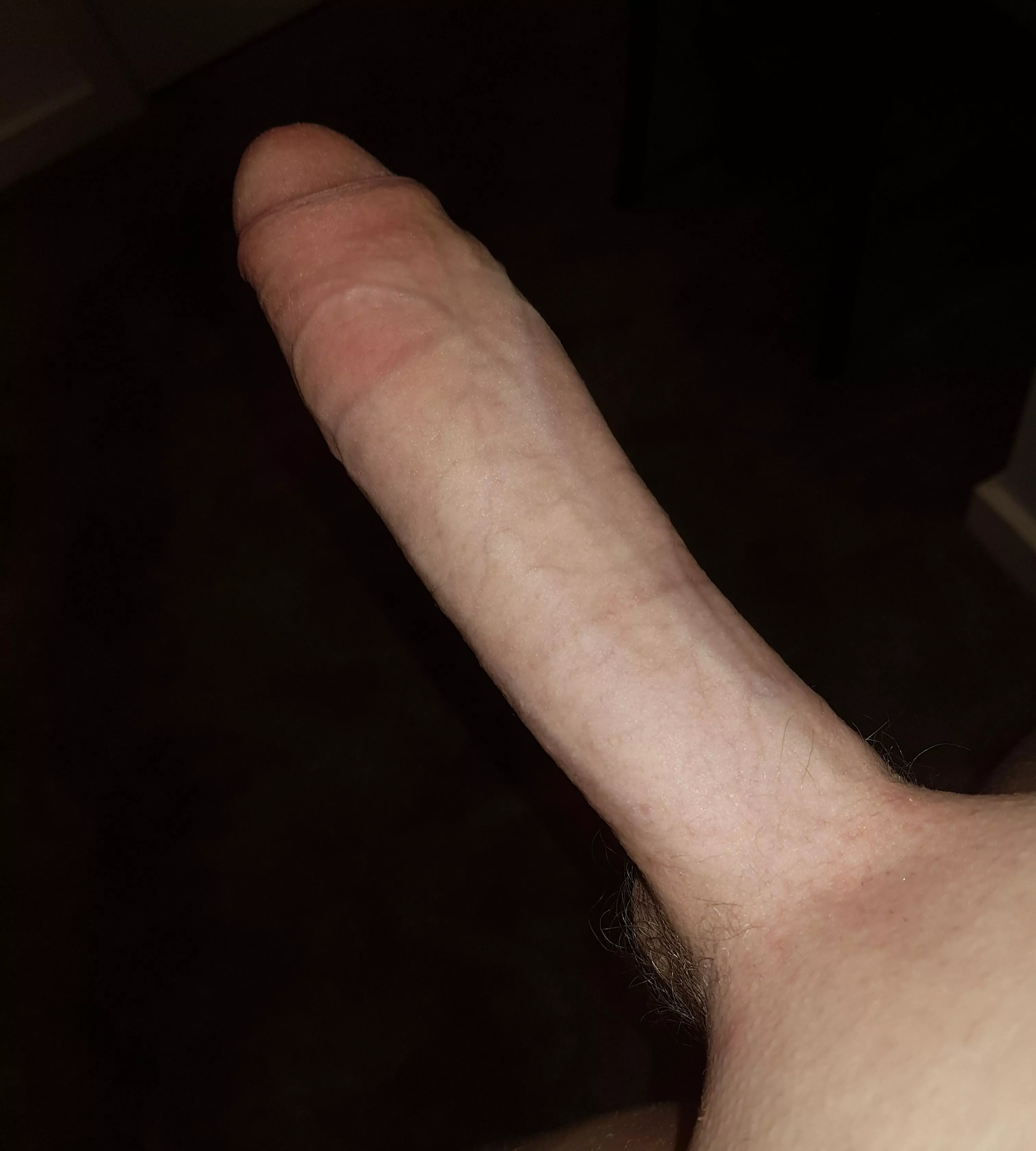 Do you like 🐴🍆 posted by johnny453111