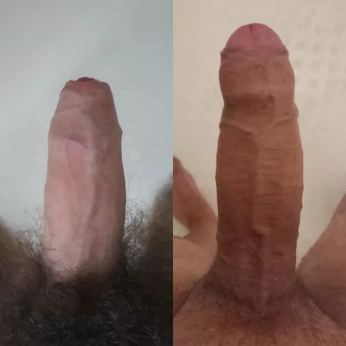 @halfman500's 5-6 inch cock (left) compared to my 7 inch (right) which one do you prefer? Leave a comment! by AwayTop1326