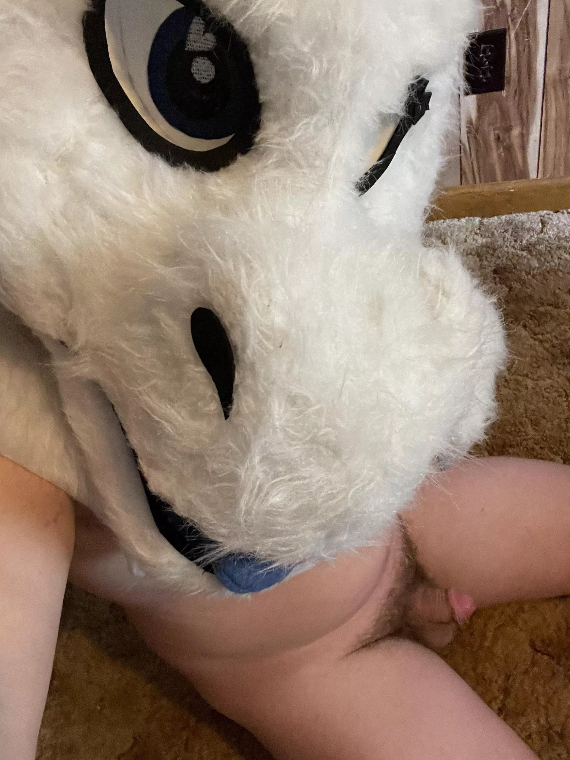 I know I’m not a dog but.. am I still a good boy? posted by FluxDerg