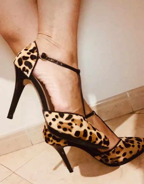 Leopard heels are always hot by MrsSisiu