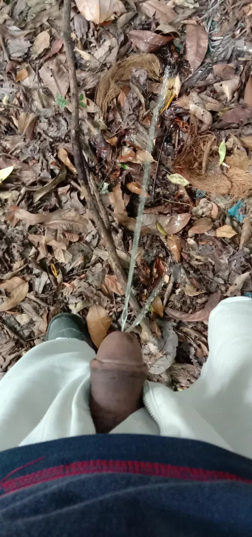 Let it go by Brief-Rent