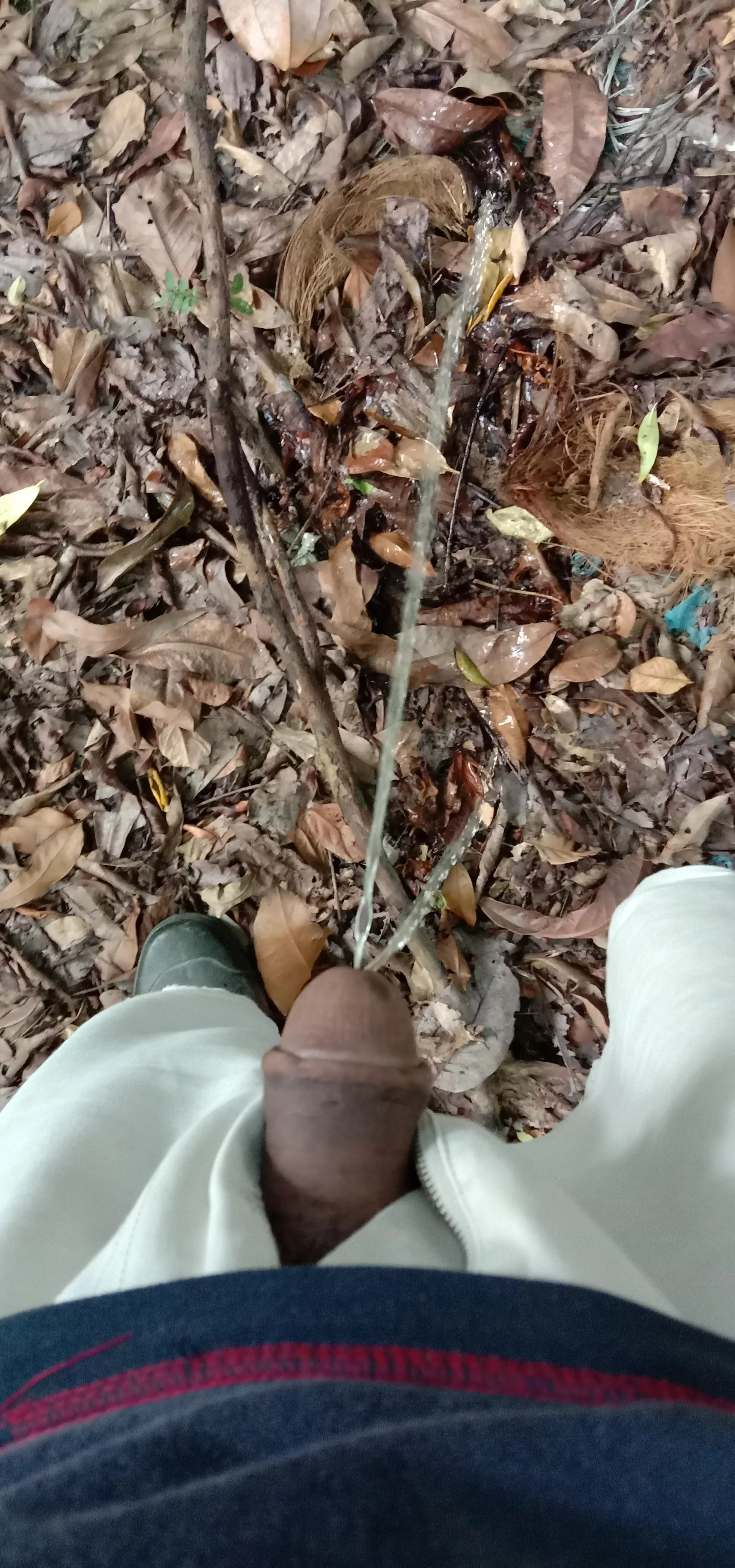 Let it go posted by Brief-Rent