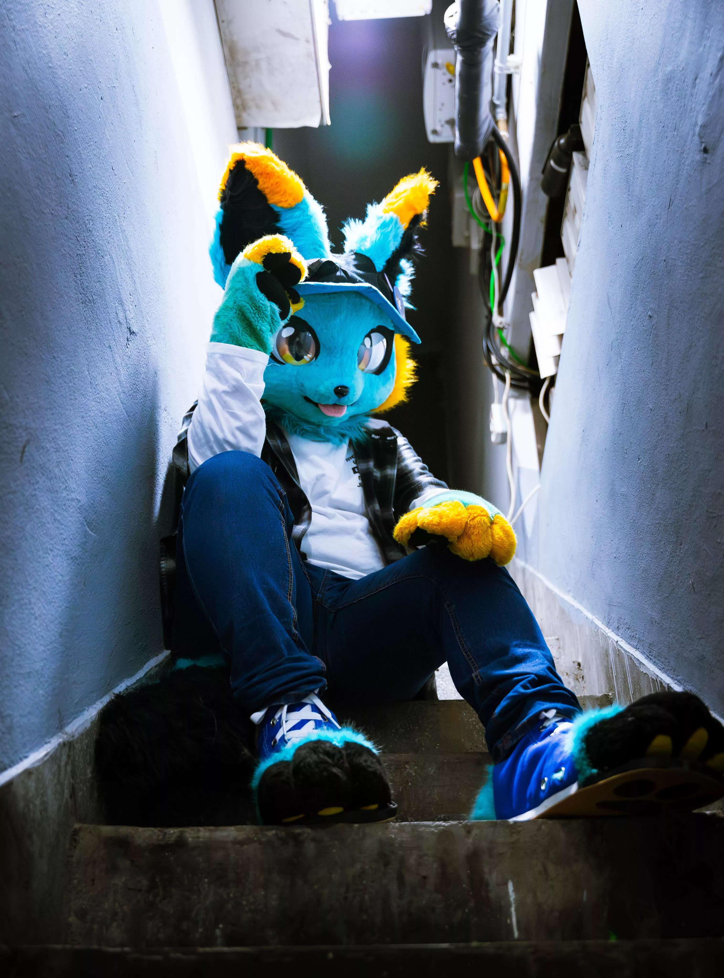 Night Street Fox posted by 92Tars