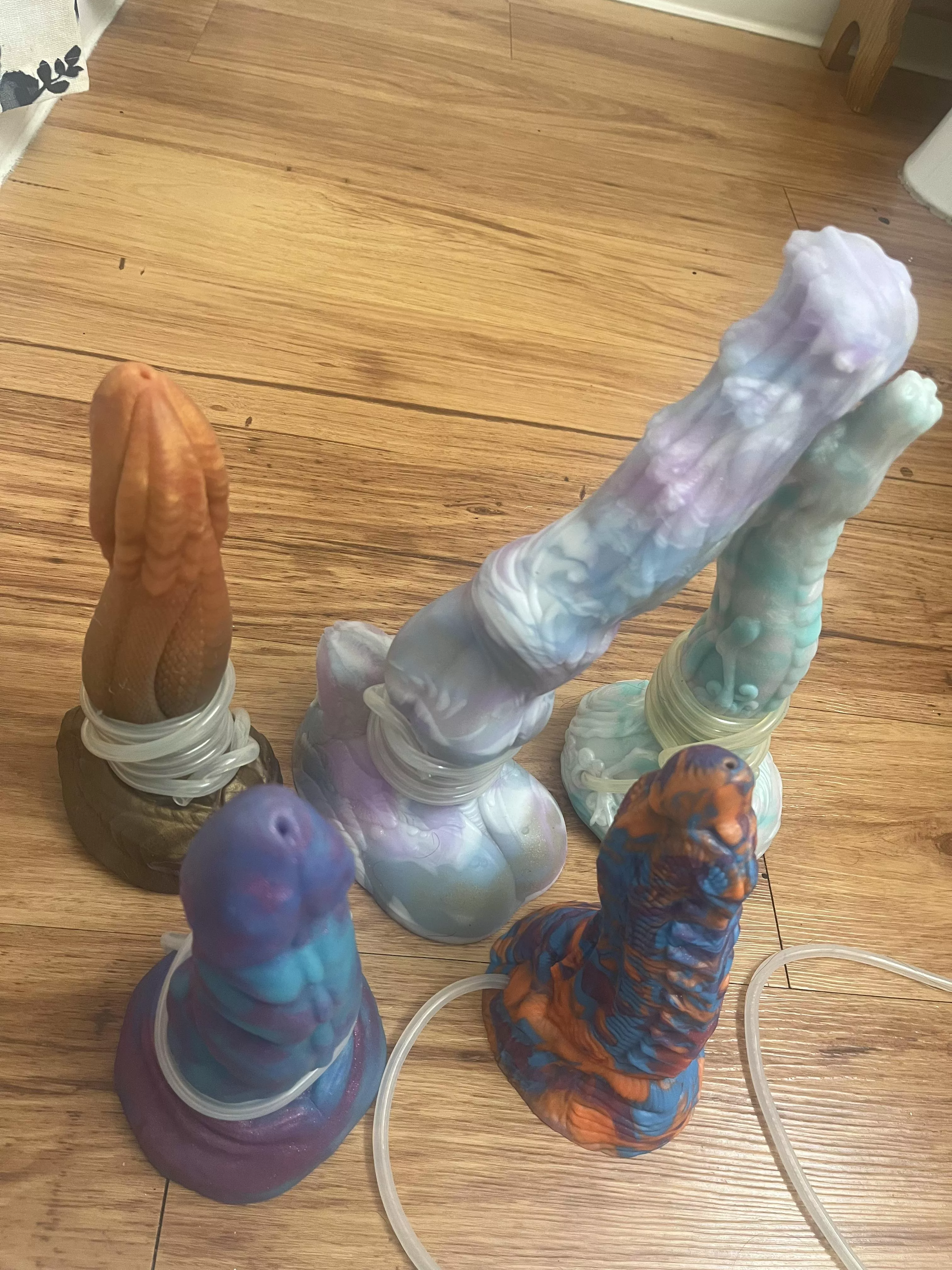 The family photo posted by BirthOfDragon