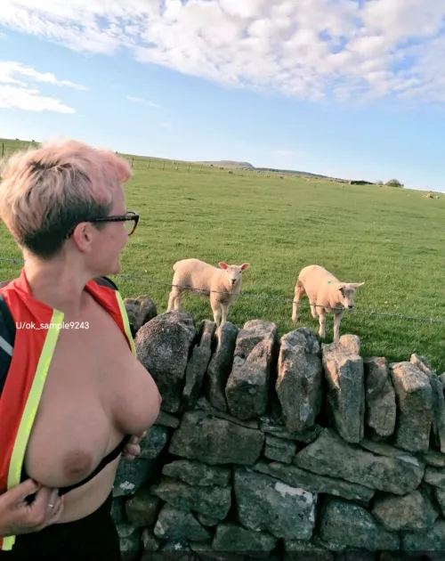 What a cute pair 😍😍 41 Female UK 💋💋🇬🇧 by Ok_Sample9234