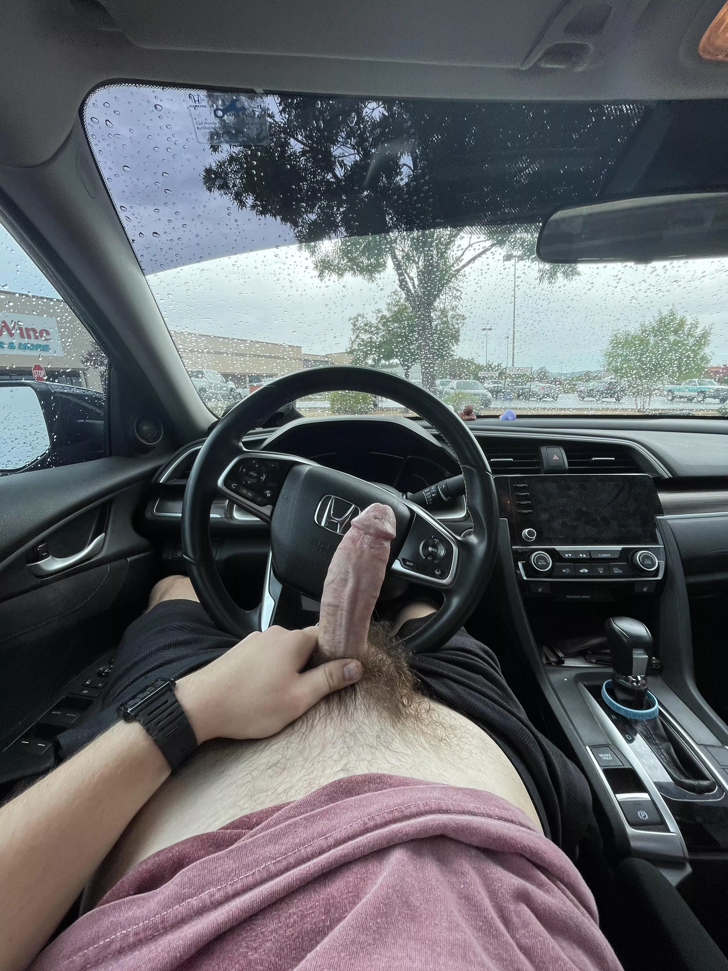 Who likes this bush? posted by ArizonaVirgin