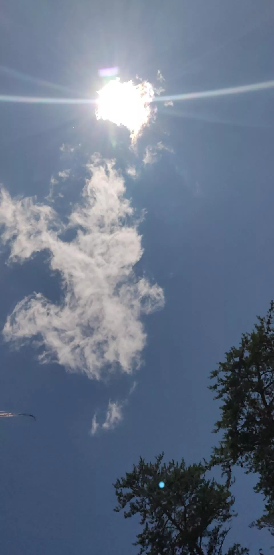 18 [m4m] [m4f] [m4t]Horny af looking for jerk of buddy maybe do a little more just dm me I’m in Fairfax I also drive posted by Some-Medicine1110