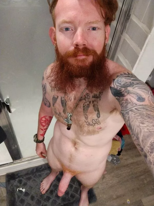 28 Bi Dom and Texas Ginger Viking Bull/Breeder posted by G1nger_Viking