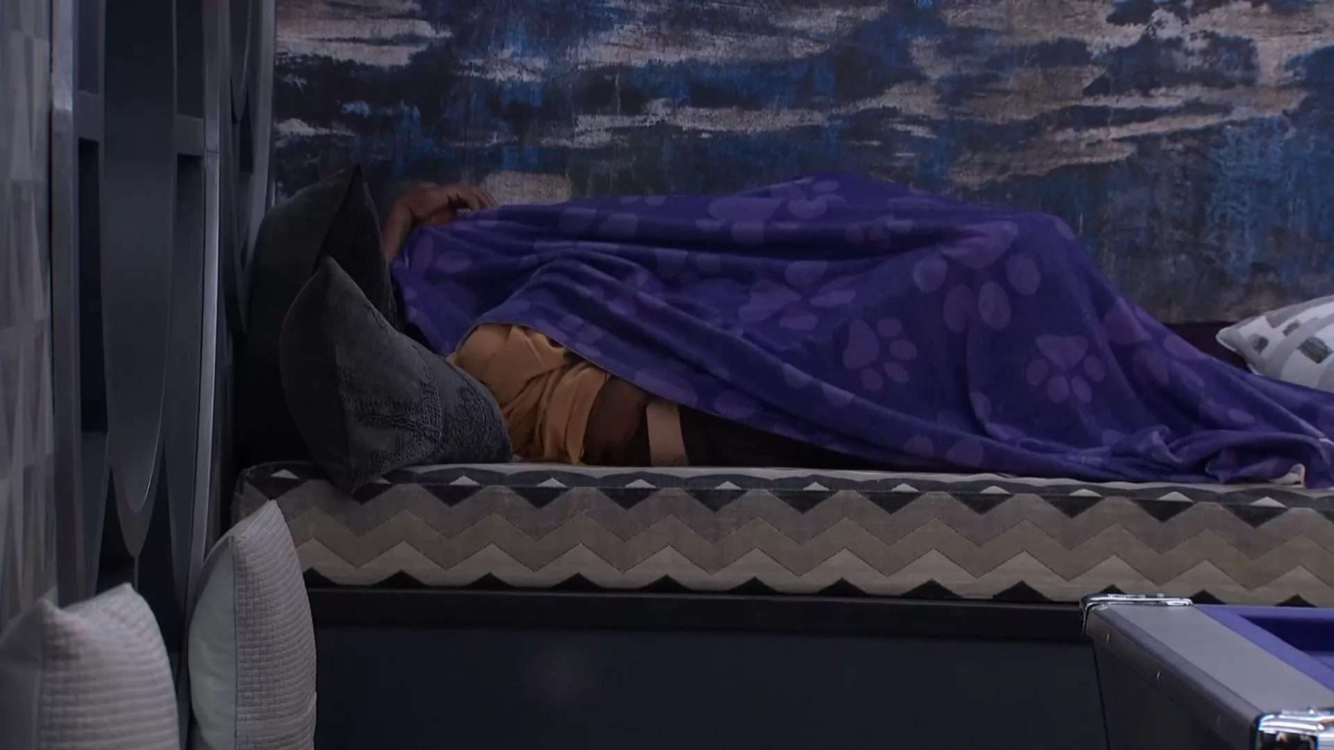 Blue and Jared Kissing Under the Blanket Day 21 BB25 More in Comments posted by BBCanFanatic