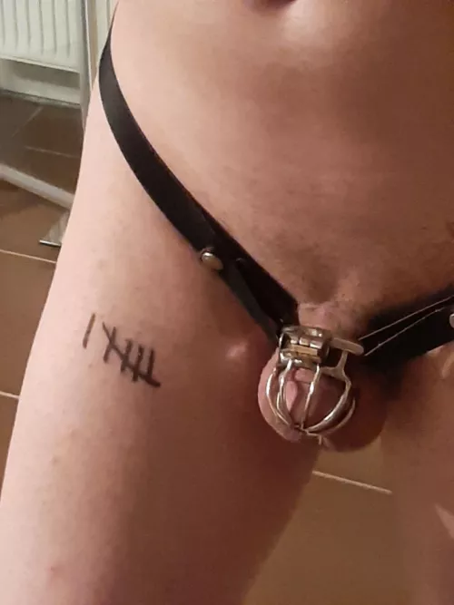 Day 6, feeling fuller by Rapekinksissyslave