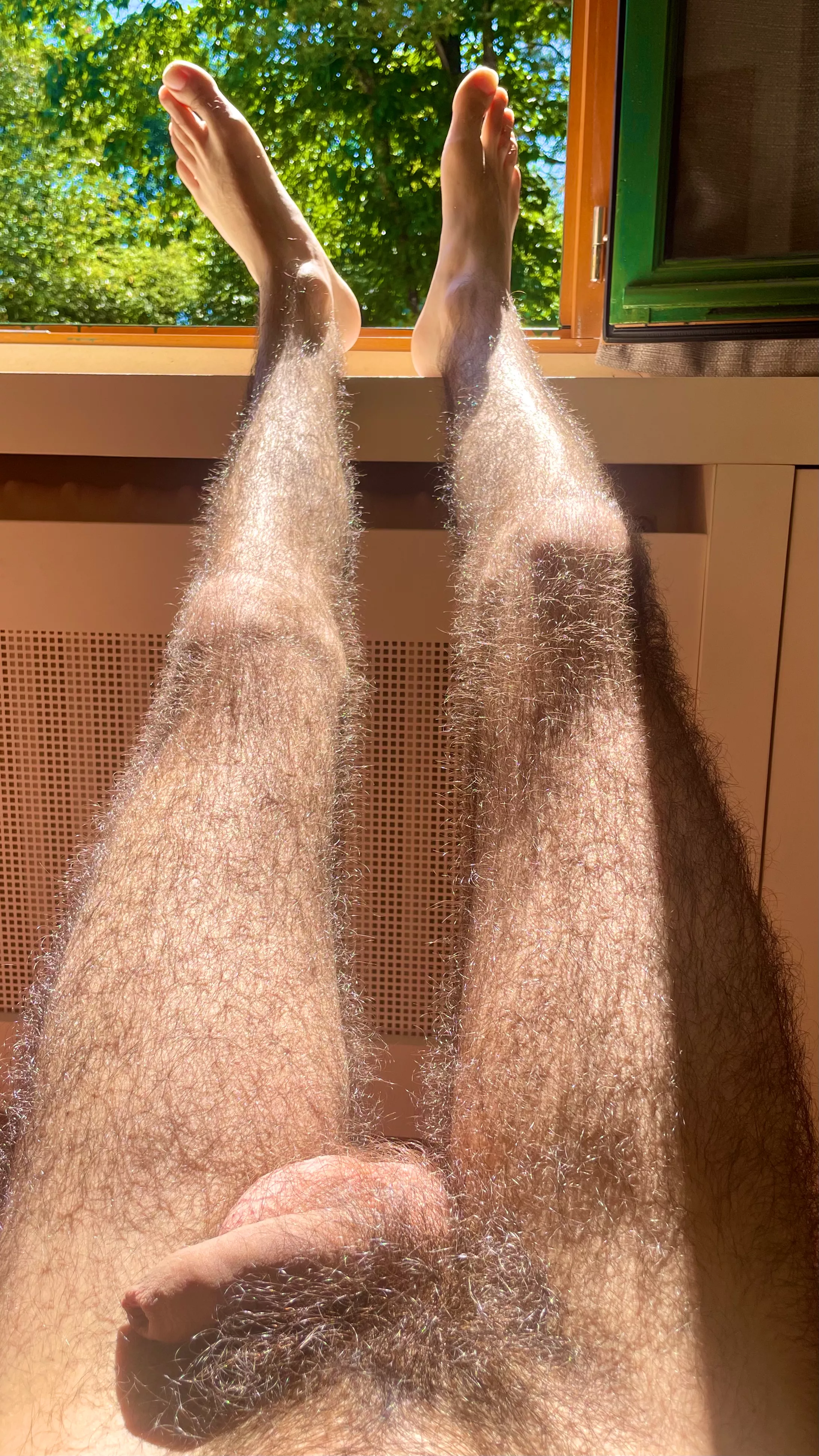 Feel free to pet them posted by EverlastingEdgar