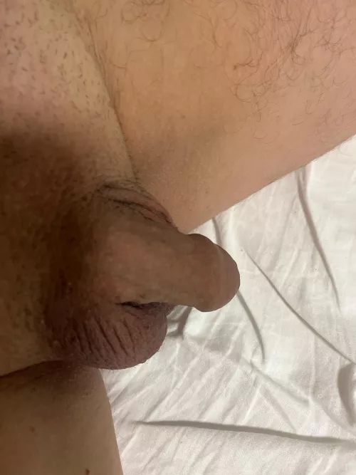 Holliday mod by ProfessorBudget1803