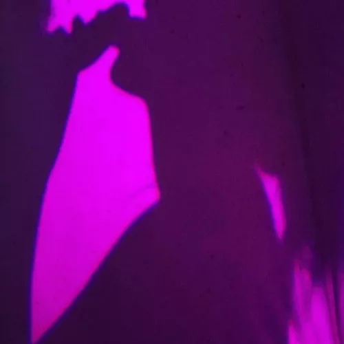 Seductive silhouette by Sid-and-Lucy-OF