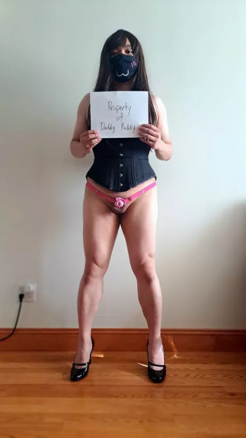 Started training a new sissy. We're going to have a lot of fun, my little Stephy. by OG_Daddy_Paddy