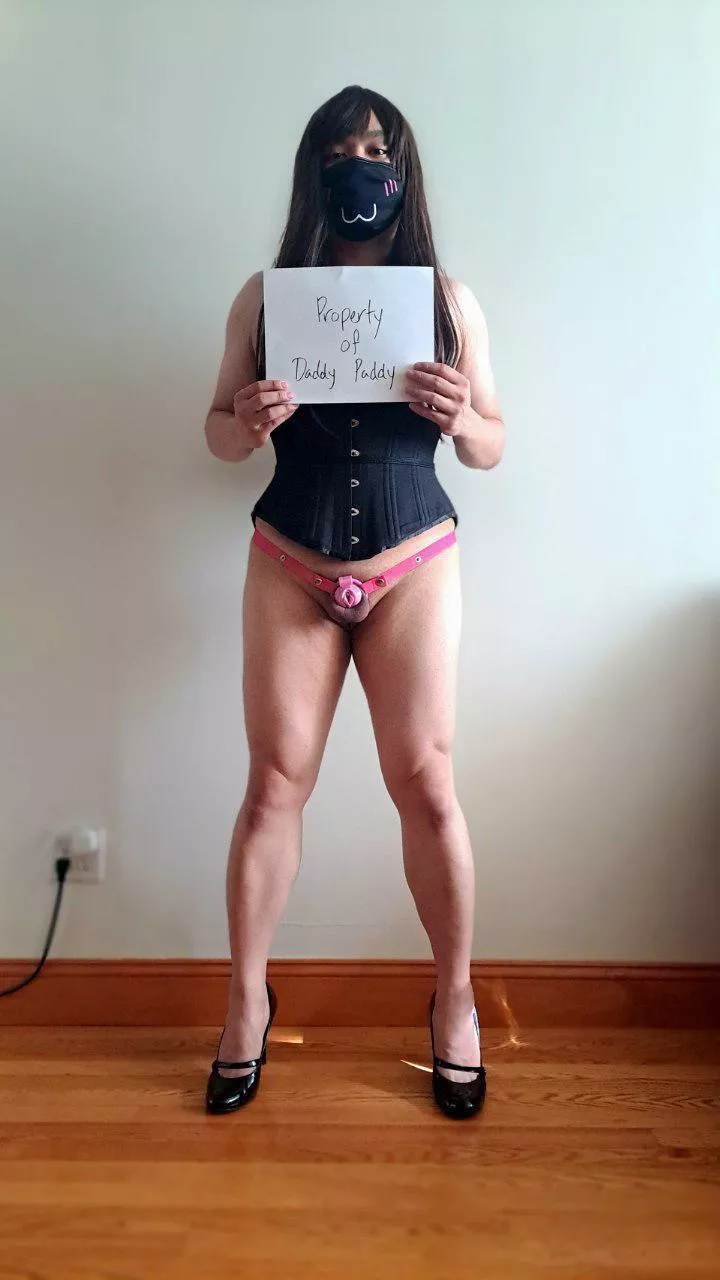 Started training a new sissy. We're going to have a lot of fun, my little Stephy. posted by OG_Daddy_Paddy