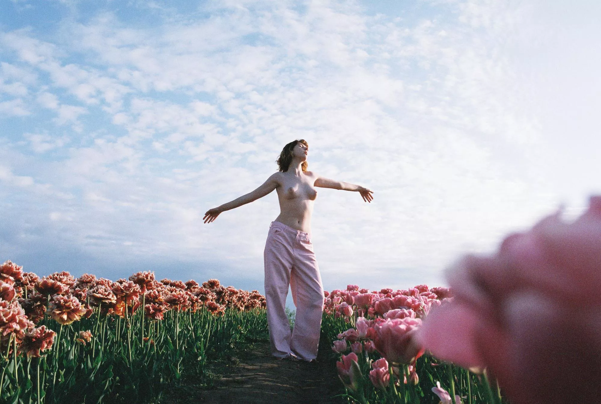 Tulips posted by elcansky