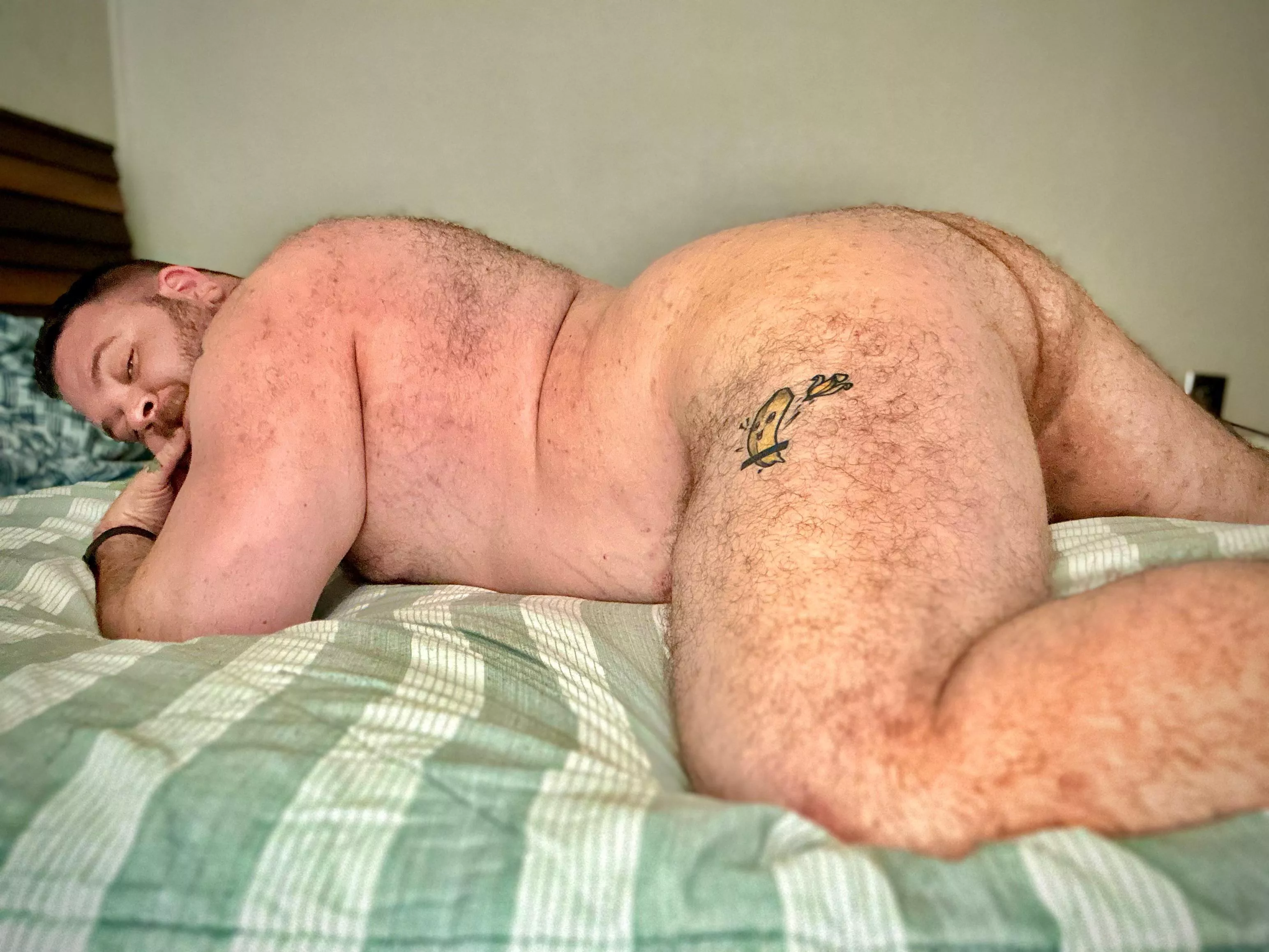 Who wants to go for a ride? posted by Zeroun1v3rse