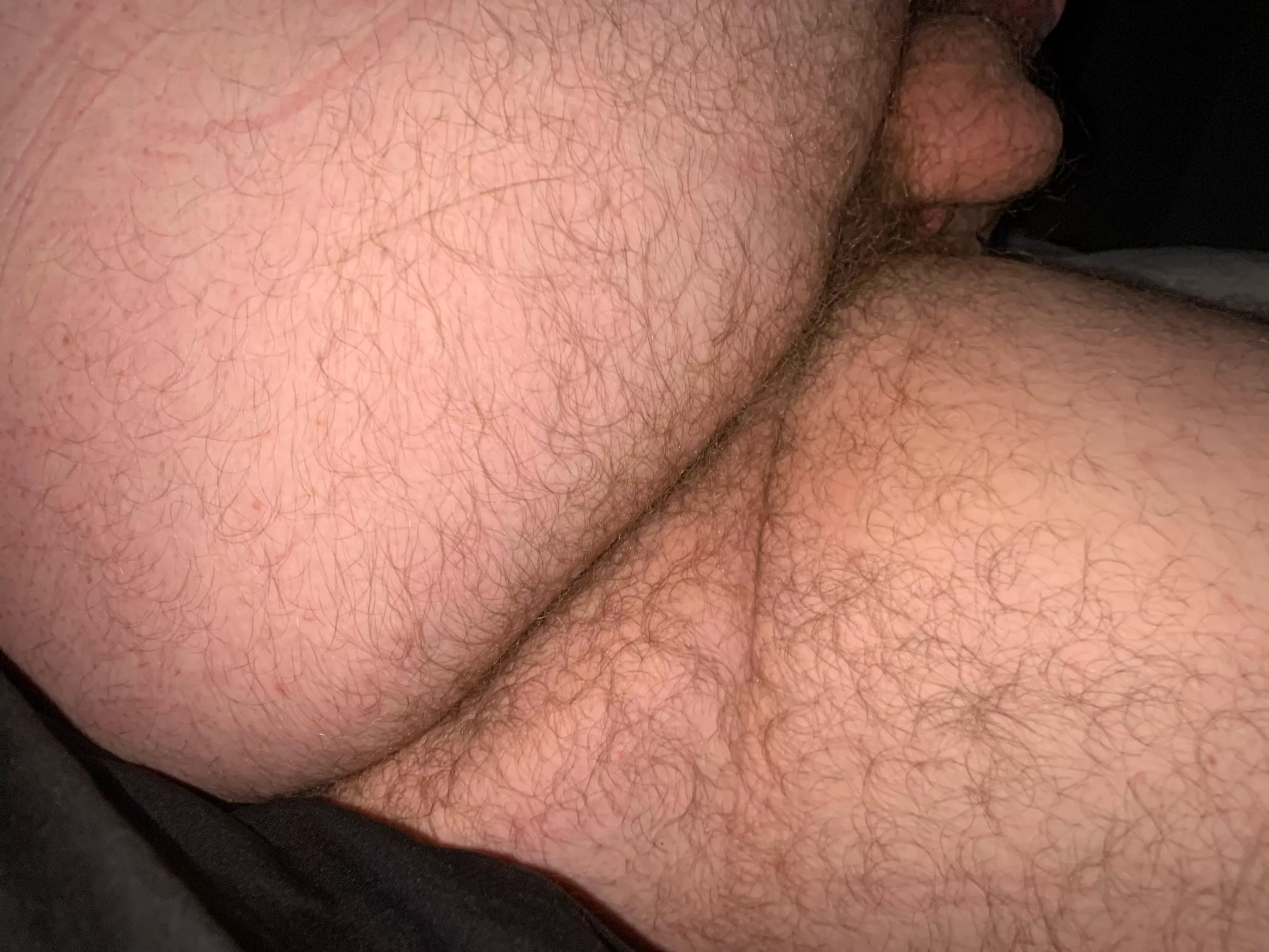 Come breed it posted by Beneficial-Tap7340