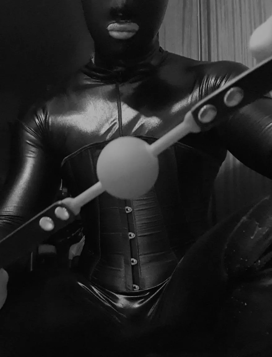 Down on your Knees & Open your Mouth! posted by Technical_Tie_1703