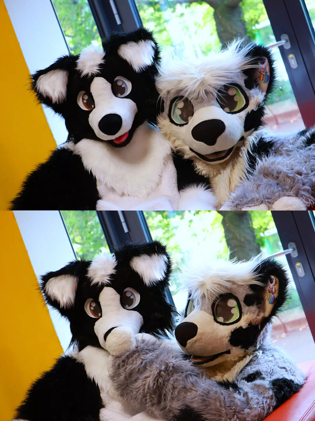 Happy late wednesday my cute floofs <3 posted by CharliePaw