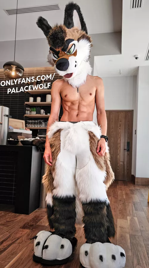 It’s getting a little hot in here, mind if I take this off? 🥵 by PalaceWolf