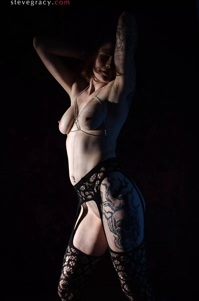 Rose in fishnet posted by SteveGracyPhoto