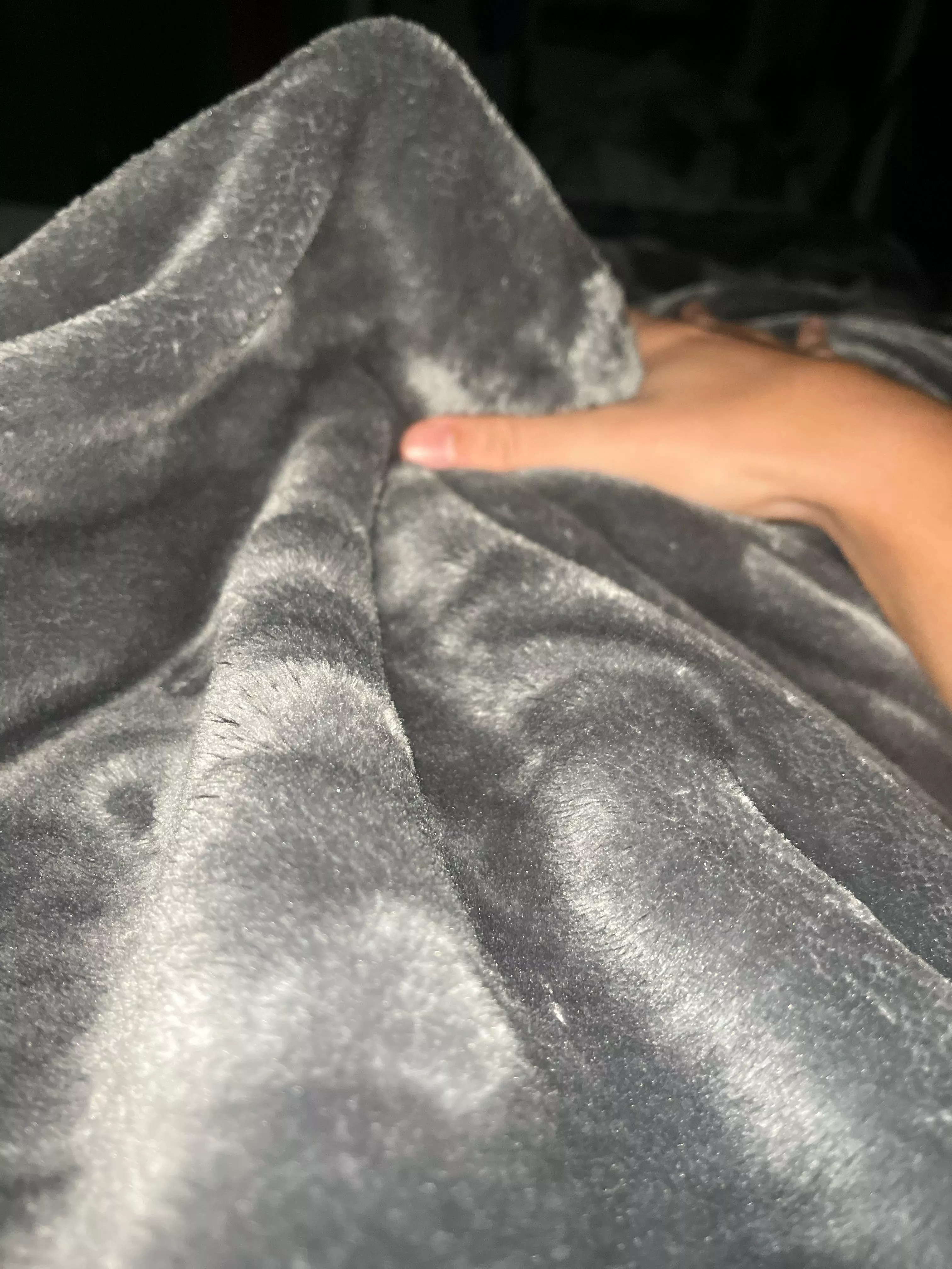 should i show under the blanket? posted by excer_experience