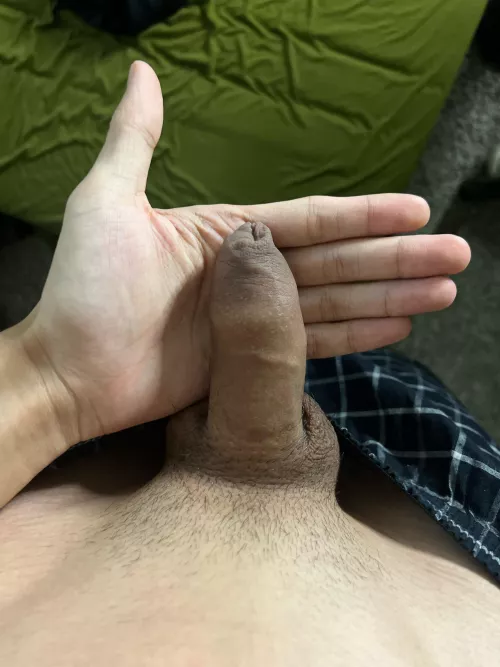 Would you get yours cut by Worried-Outside-4270