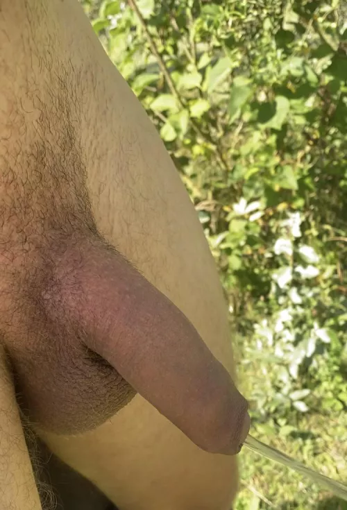 [22] loves peeing outside by PaleCarrot1143