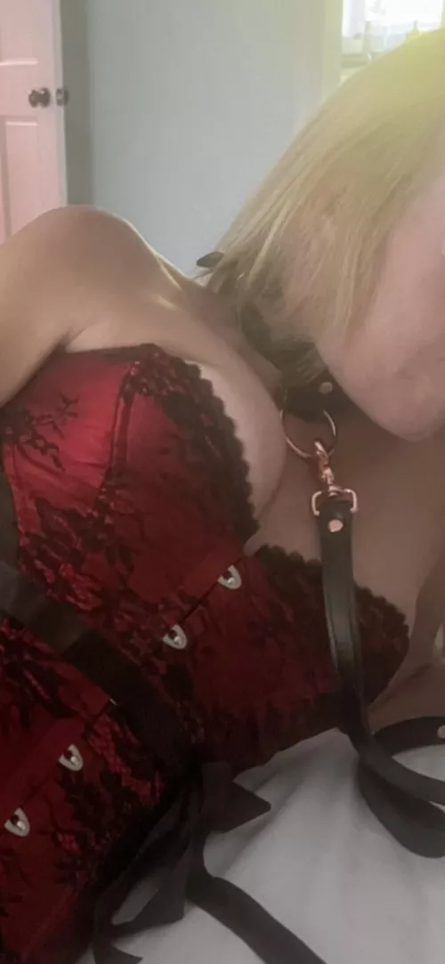 Close up by hawk-reboot