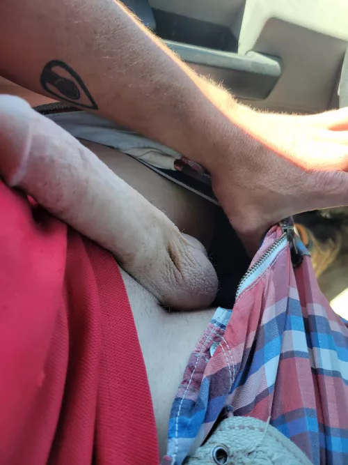 Cum for a drive with me by pjbrick14