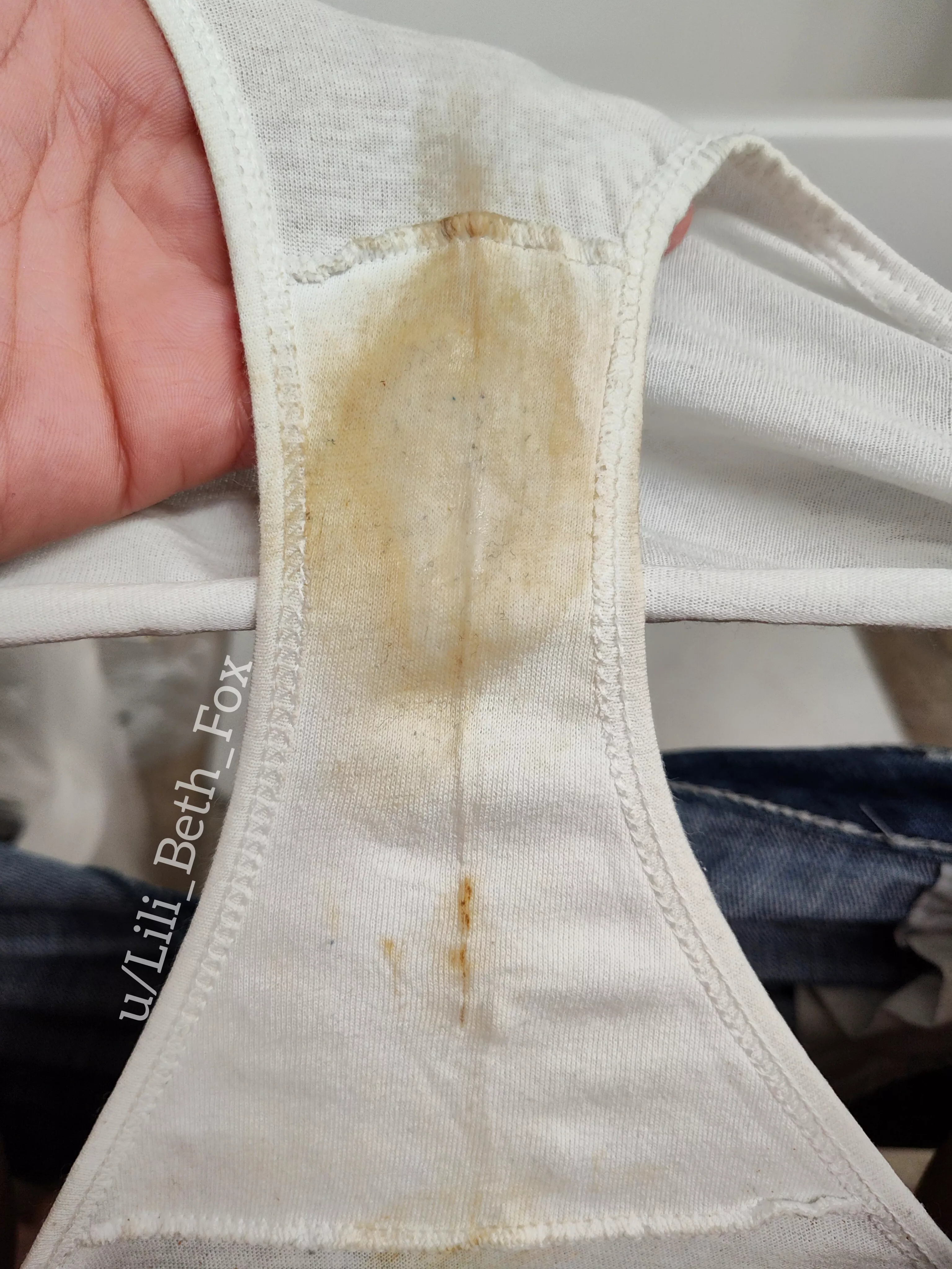 Five days of musk [OC] posted by Lili_Beth_Fox